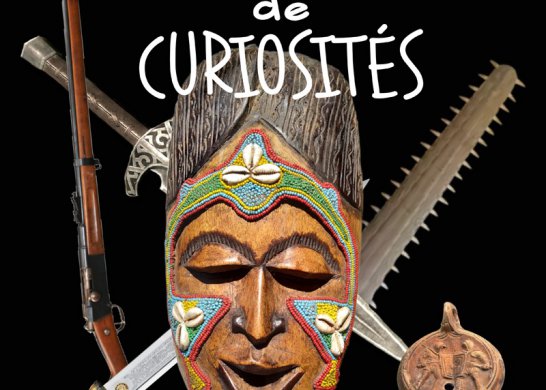 Cabinet des curiosités