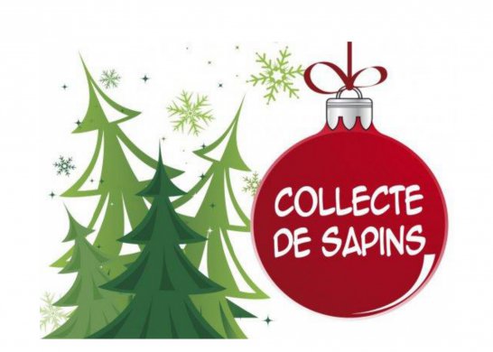 COLLECTE SAPINS DE NOEL