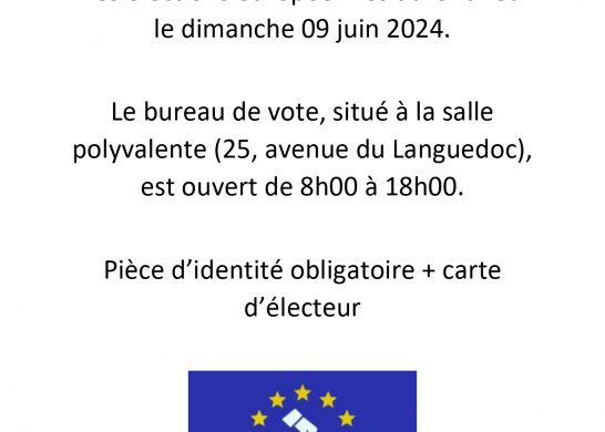 ELECTIONS EUROPEENNES
