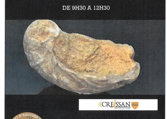 exposition château de Creissan
