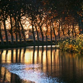 Les berges du Canal du Midi